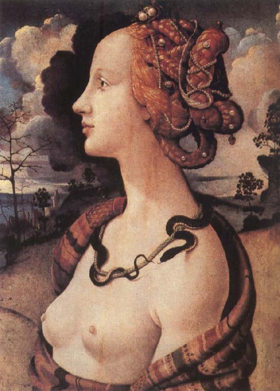 Piero di Cosimo Portrait of Simonetta vespucci oil painting picture